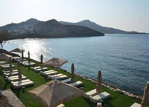 turkiye/mugla/bodrum/nomia-hotel-394259752.jpg