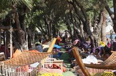 turkiye/mugla/bodrum/okaliptus-otel-1068696819.jpg