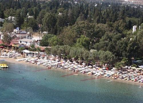 turkiye/mugla/bodrum/okaliptus-otel-1294684128.jpg