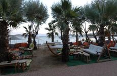 turkiye/mugla/bodrum/okaliptus-otel-1570844717.jpg