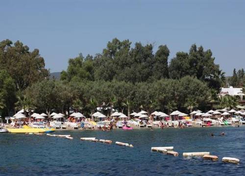 turkiye/mugla/bodrum/okaliptus-otel-2012650858.jpg