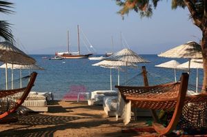 turkiye/mugla/bodrum/okaliptus-otel-2100617133.jpg
