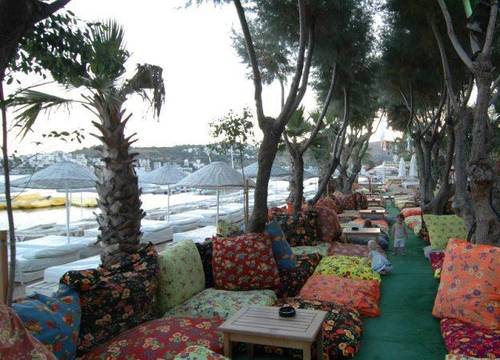 turkiye/mugla/bodrum/okaliptus-otel-732987388.jpg