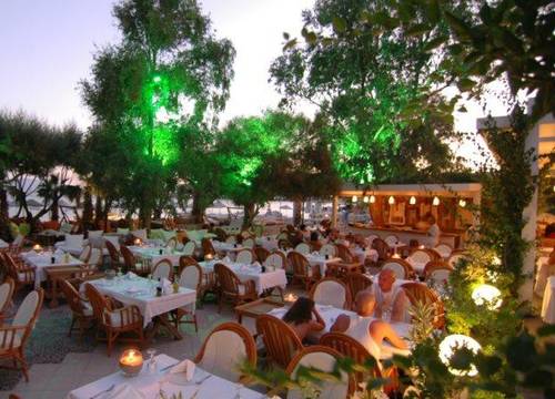 turkiye/mugla/bodrum/okaliptus-otel-777431805.jpg