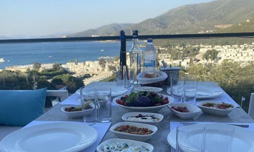 turkiye/mugla/bodrum/olivia-hotel_91969850.jpg