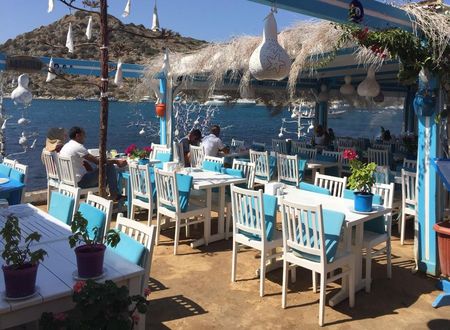turkiye/mugla/bodrum/oza-butik-otel_d719aca9.jpeg