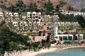 turkiye/mugla/bodrum/palmet-bodrum_4d21e53f.jpg