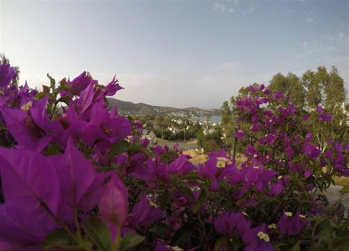 turkiye/mugla/bodrum/panorama-hotel-316b36e9.jpg