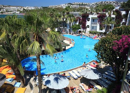 turkiye/mugla/bodrum/parkim-ayaz-hotel-1113731756.JPG