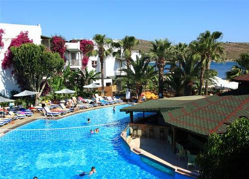 turkiye/mugla/bodrum/parkim-ayaz-hotel-1630113123.JPG