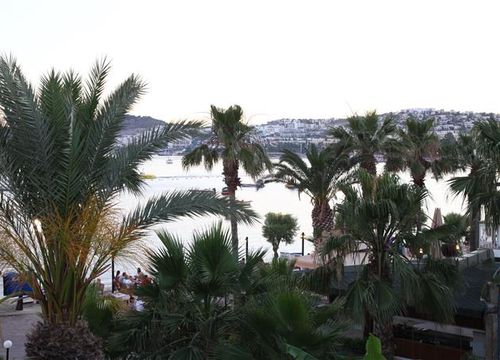 turkiye/mugla/bodrum/parkim-ayaz-hotel-1669634696.JPG