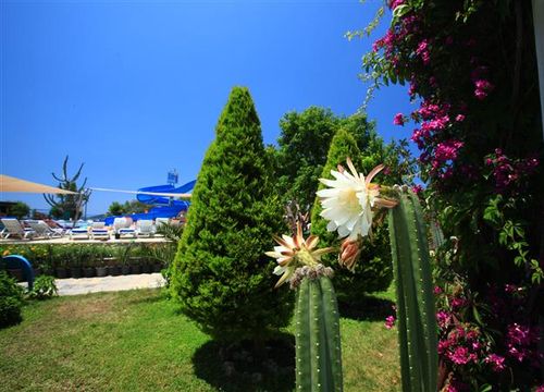 turkiye/mugla/bodrum/parkim-ayaz-hotel-1863297128.JPG