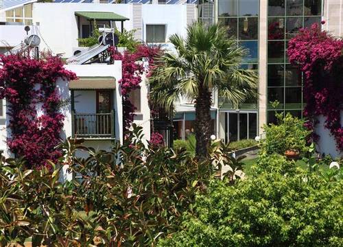 turkiye/mugla/bodrum/parkim-ayaz-hotel-1949289255.JPG