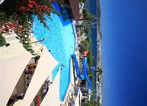 turkiye/mugla/bodrum/parkim-ayaz-hotel-588140562.JPG