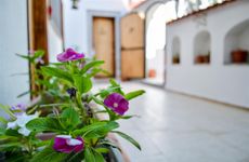 turkiye/mugla/bodrum/petra-butik-otel-00f846ae.jpg