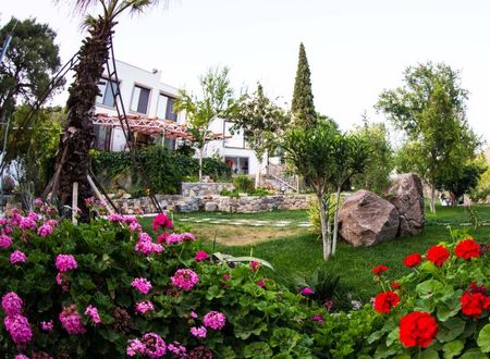 turkiye/mugla/bodrum/pitahaya-home-hotel-1357203.jpg