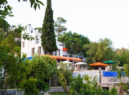 turkiye/mugla/bodrum/pitahaya-home-hotel-1357212.jpg