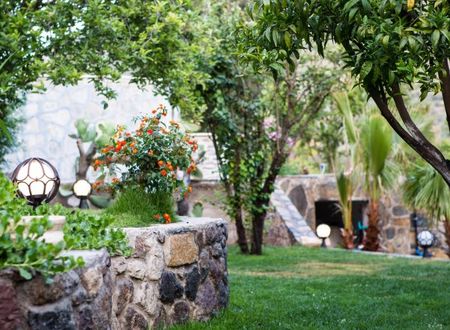 turkiye/mugla/bodrum/pitahaya-home-hotel-1357241.jpg