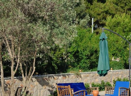 turkiye/mugla/bodrum/pitahaya-home-hotel-1392453.jpg