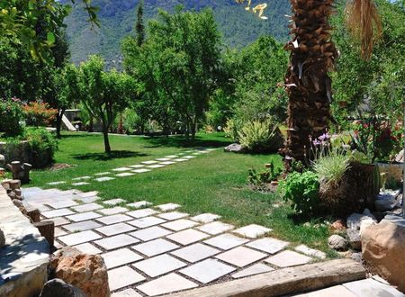 turkiye/mugla/bodrum/pitahaya-home-hotel-1392681.jpg