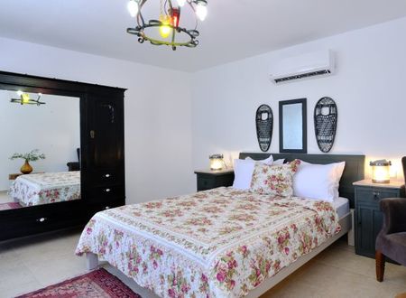 turkiye/mugla/bodrum/pitahaya-home-hotel-1530890.jpg