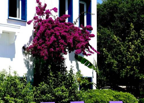 turkiye/mugla/bodrum/red-lion-hotel-1636662.jpg