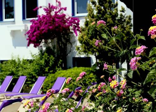 turkiye/mugla/bodrum/red-lion-hotel-1636695.jpg