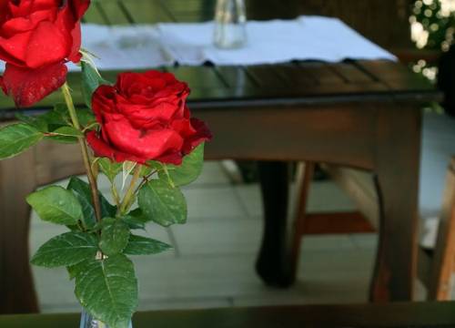 turkiye/mugla/bodrum/red-lion-hotel-1636787.jpg