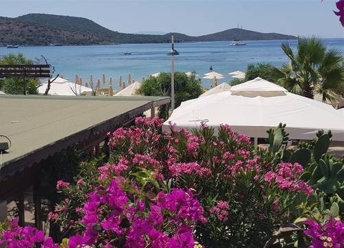 turkiye/mugla/bodrum/regal-otel-4644e210.jpg