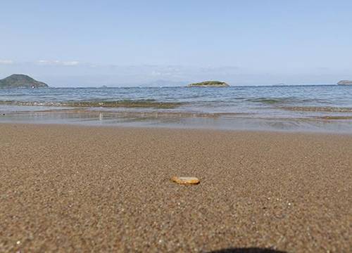 turkiye/mugla/bodrum/regulus-beach-resort-hotel_3ce917e6.jpg
