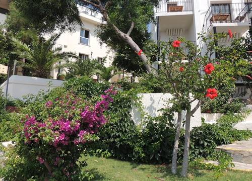 turkiye/mugla/bodrum/rosso-verde-hotel_85b4b7c8.jpg