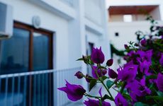 turkiye/mugla/bodrum/rozetta-hotel_1858c80f.jpg