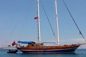 turkiye/mugla/bodrum/selvese-luxury-collection-yatching_01340818.jpg