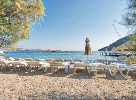 turkiye/mugla/bodrum/selvi-beach-otel-50b622c2.jpg