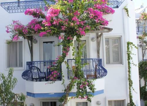 turkiye/mugla/bodrum/serhan-hotel-317551.jpg