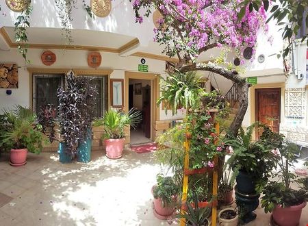 turkiye/mugla/bodrum/sevin-otel_ddb60e70.jpg