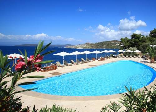 turkiye/mugla/bodrum/shamana-hotel-spa-663695.jpg