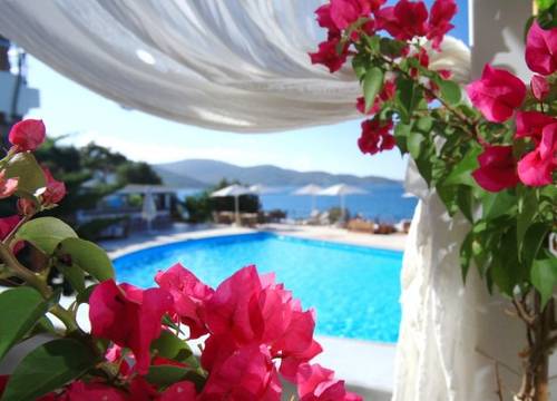turkiye/mugla/bodrum/shamana-hotel-spa-663709.jpg