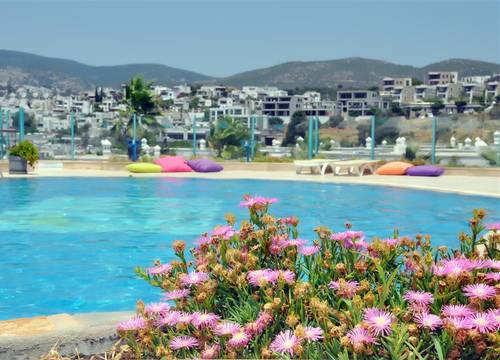 turkiye/mugla/bodrum/siesta-beach-apart-hotel-3f3ced0b.jpg