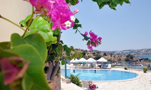 turkiye/mugla/bodrum/siesta-beach-apart-hotel-88789ba3.jpg