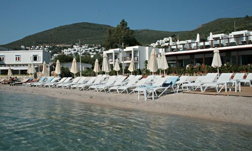 turkiye/mugla/bodrum/sina-hotel--1350645.jpg