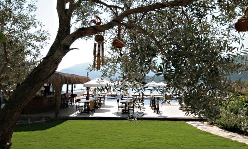 turkiye/mugla/bodrum/sina-hotel--1350708.jpg