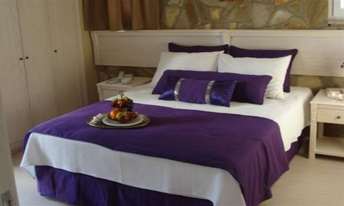 turkiye/mugla/bodrum/sina-hotel--1350853.jpg