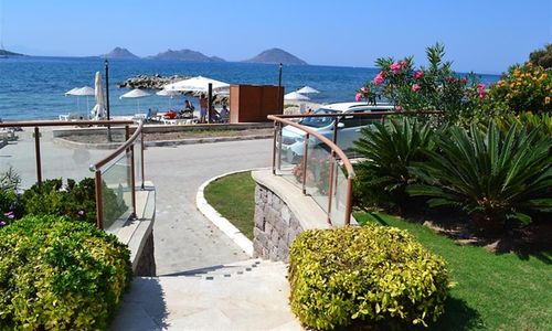 turkiye/mugla/bodrum/small-beach-hotel-56686c6a.png