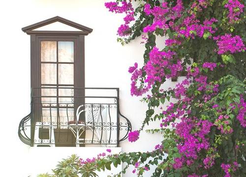 turkiye/mugla/bodrum/sunny-garden-nilufer-hotel-659463.jpg