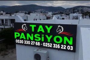 turkiye/mugla/bodrum/tay-pansiyon-ec4f10fd.jpeg