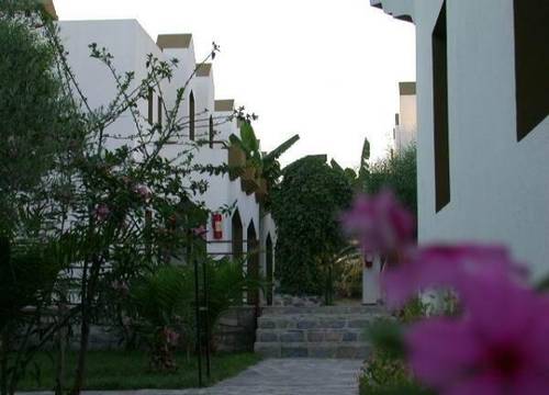 turkiye/mugla/bodrum/tenda-hotel-508891786.jpg