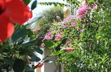 turkiye/mugla/bodrum/toloman-bitezpark-apart_453c8768.jpg