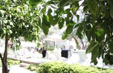 turkiye/mugla/bodrum/toloman-bitezpark-apart_b26e4189.jpg