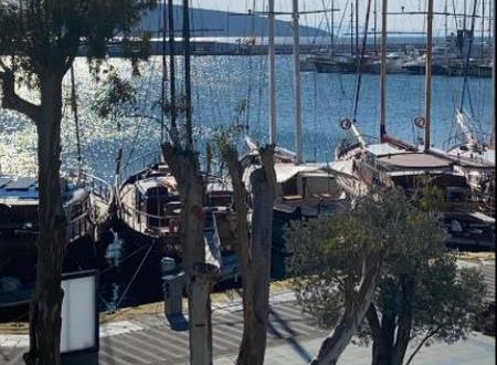 turkiye/mugla/bodrum/tosunpasa-otel_0f9d68ad.png